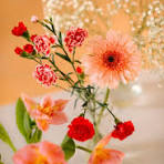 Nayee brahmin Brides