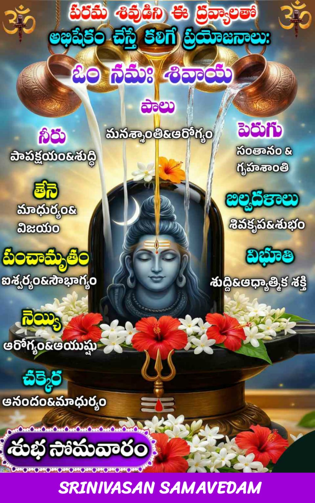 Nayee brahmin Brides